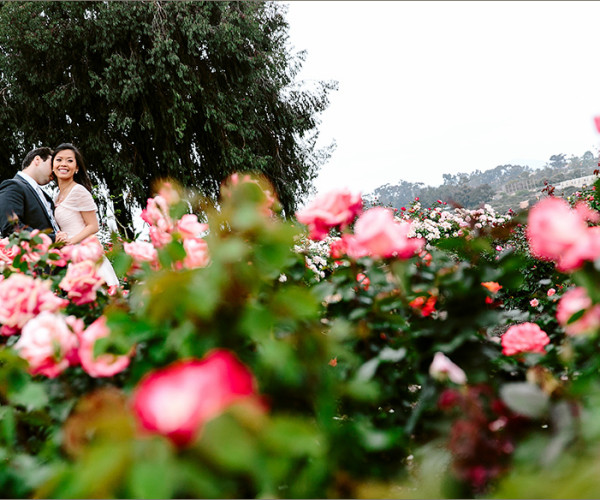 Rose Garden Engagement Photography Los Angeles Wedding Photographer